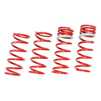 Amazon.com: Tanabe TNF112 NF210 Lowering Spring with